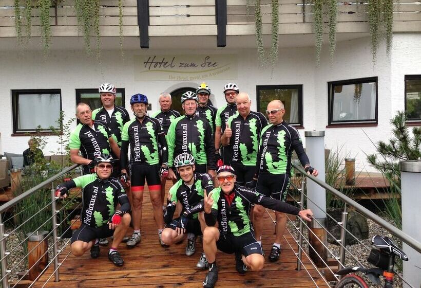 Отель Zum See Garni