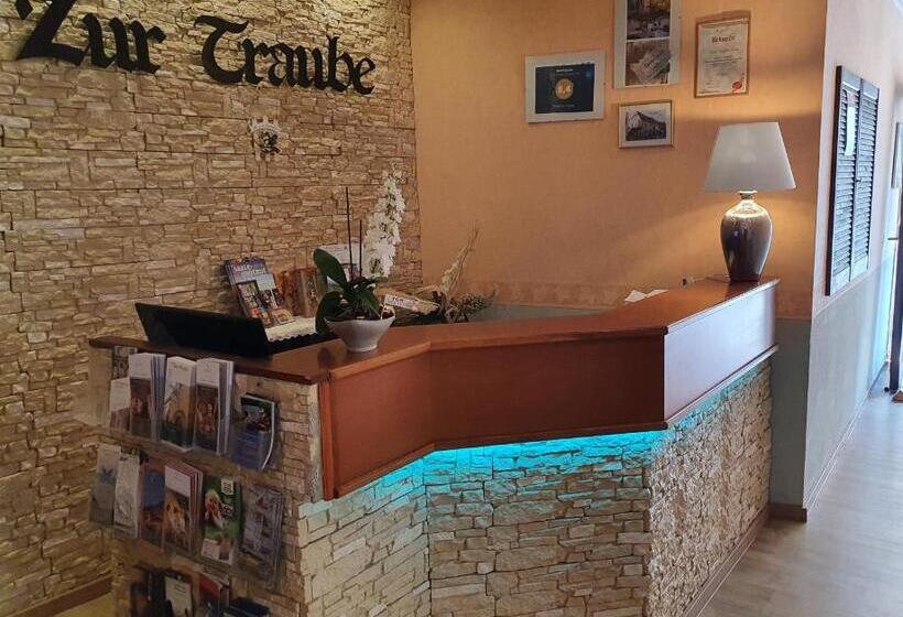 فندق Zur Traube