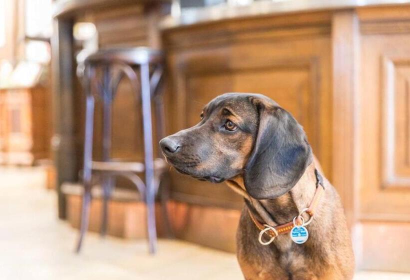 Metzgerei Gasthof Oberhauser   Hotel Zur Post