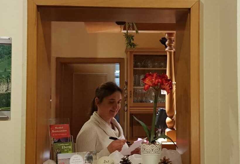 膳宿费 Gasthof Frankenstuben