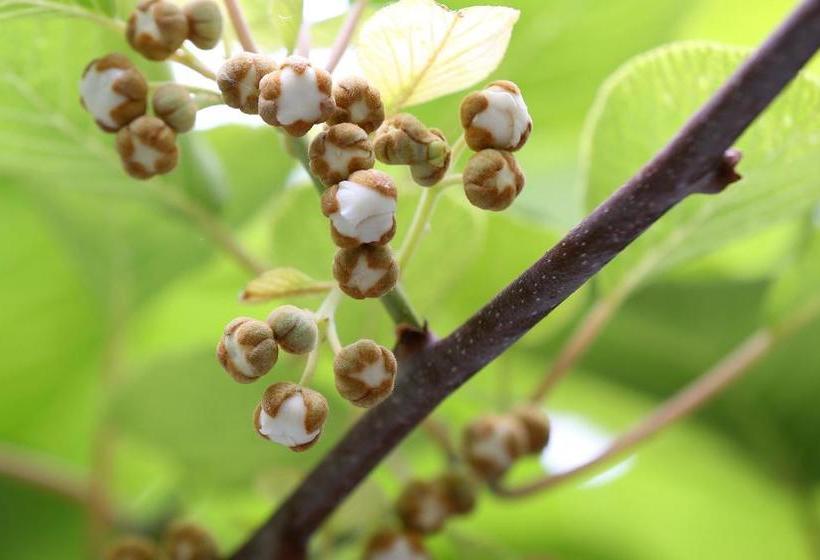 پانسیون Gästehaus Im Rank