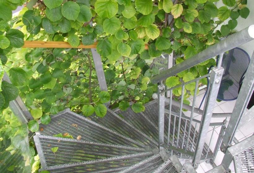 پانسیون Gästehaus Im Rank