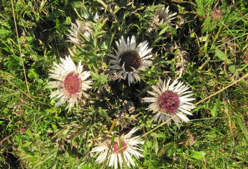 펜션 Gästehaus Schmid