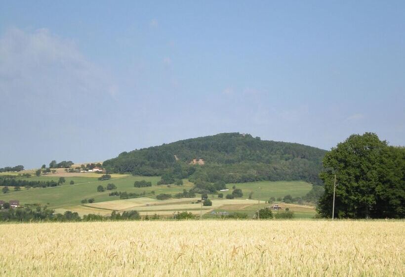 ペンション Landgasthaus Sockenbacher Hof