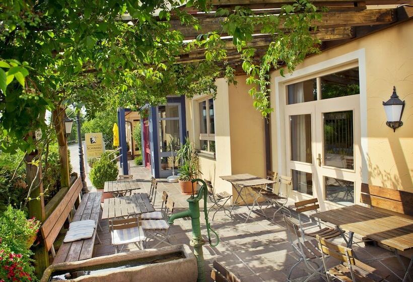 بنسيون Landgasthof Schwarz