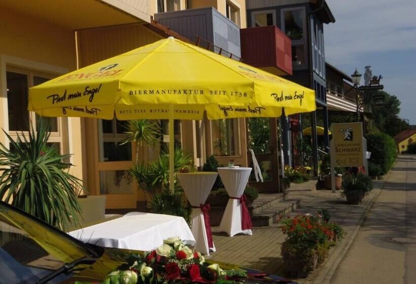 بنسيون Landgasthof Schwarz