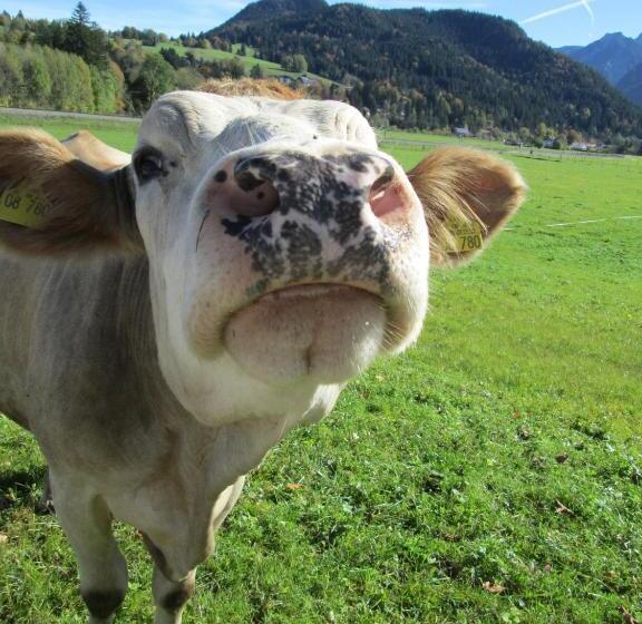 Пансион Landhotel Röfleuten