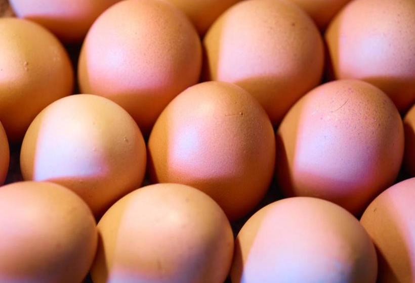 ペンション Gasthof Hotel Pietsch