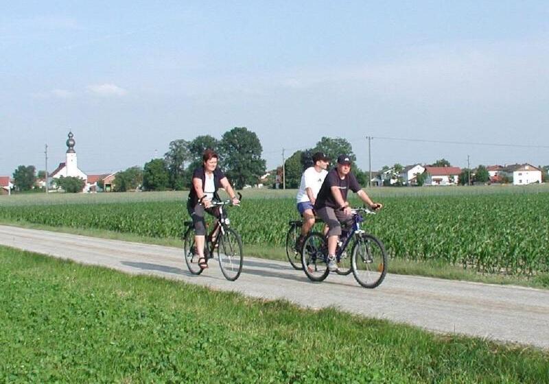 Пансион Restaurant Gasthaus Bonimeier