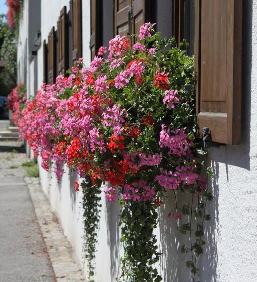 Romantik Hotel Chalet Am Kiental