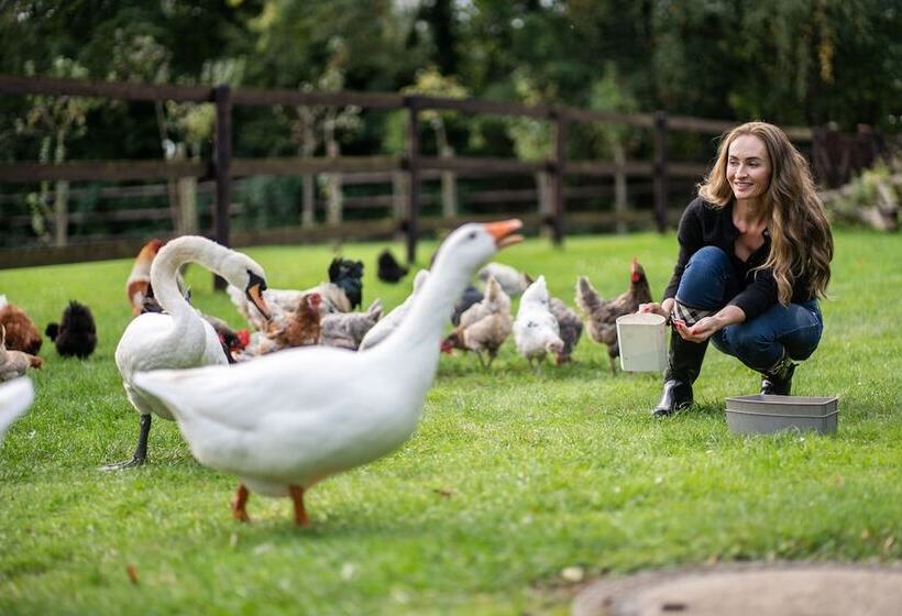 Schlossresidenz   Boutique Apartments & Hotel Suiten