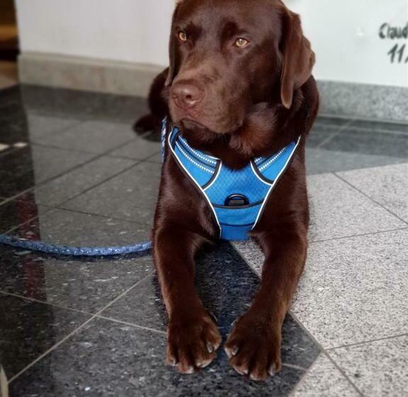 Wellness Resort Romantika