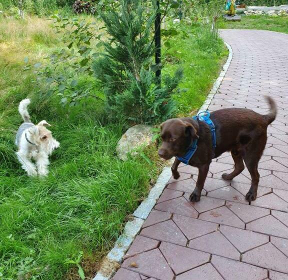 Wellness Resort Romantika