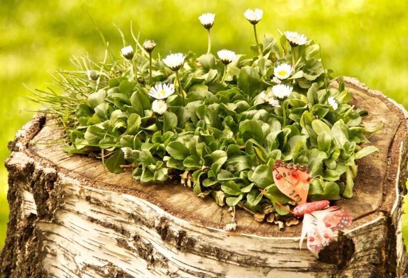 Boutique Hotel L Do Rado