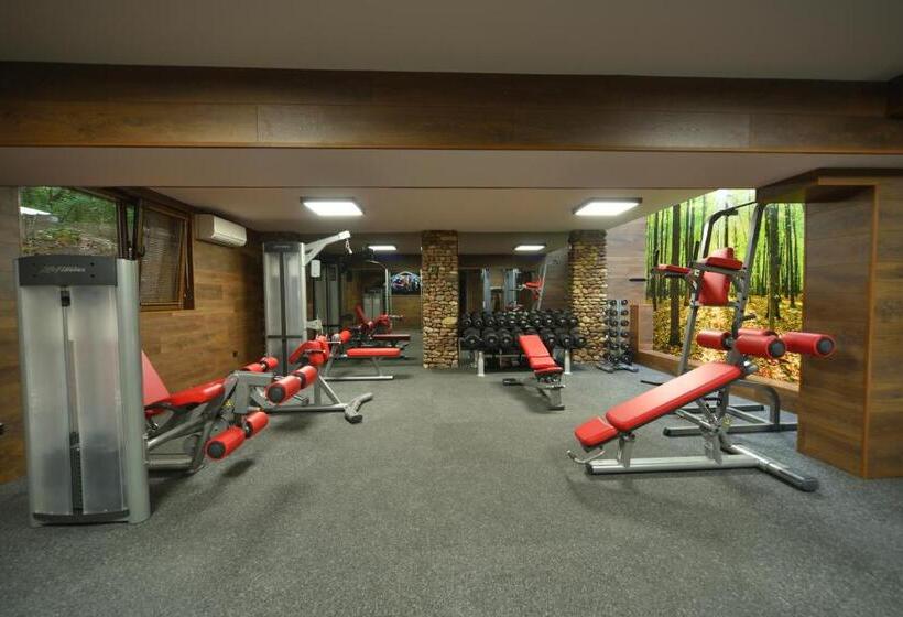 Vila 6ato Hotel & Wellnes