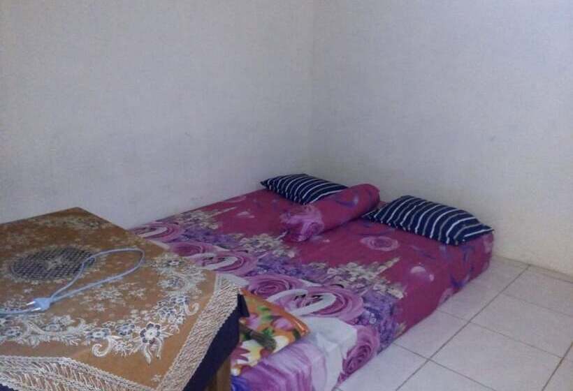 هاستل Homestay Lolita