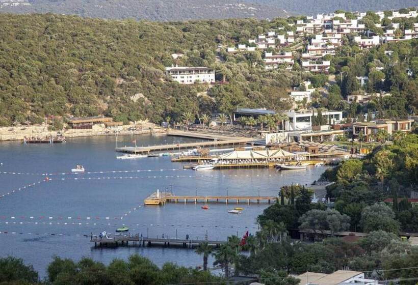 Lovely Triplex With Fantastic Sea View In Turkbuku