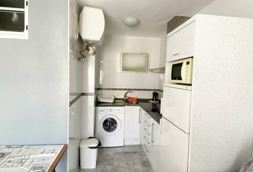 Apartamentos Los Abanicos 3000