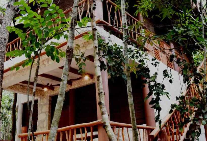 酒店 Aldea Mayaha Cabanas Con Cenotes