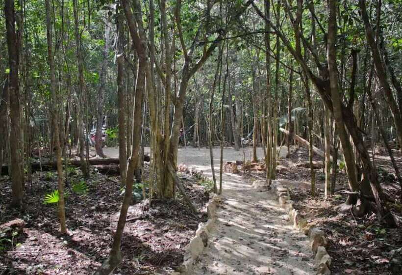 هتل Aldea Mayaha Cabanas Con Cenotes