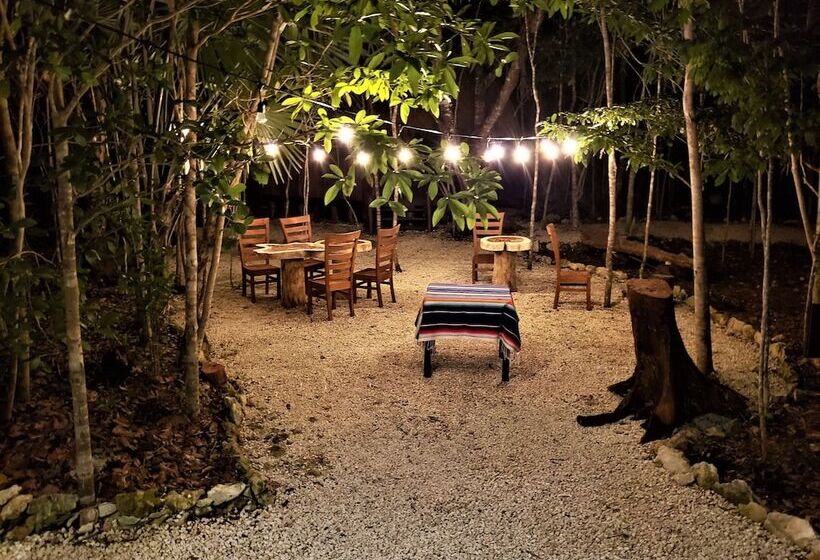 酒店 Aldea Mayaha Cabanas Con Cenotes