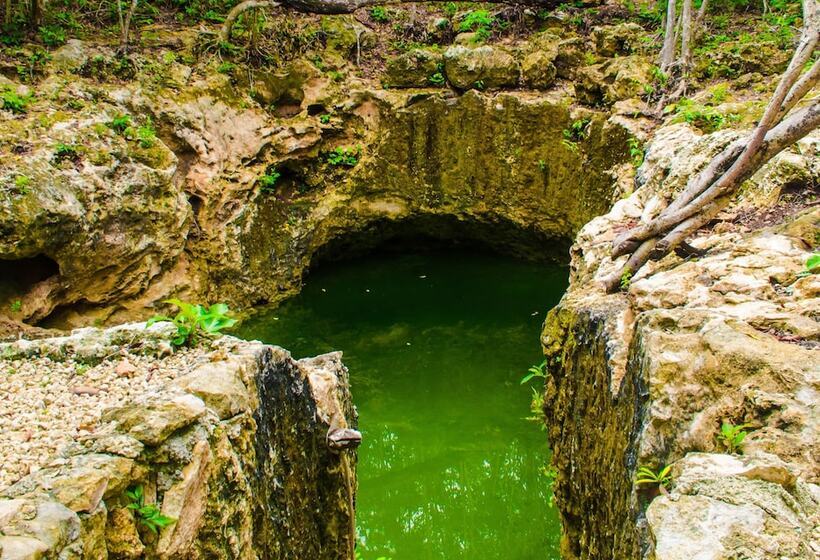 酒店 Aldea Mayaha Cabanas Con Cenotes