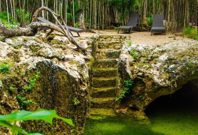 هتل Aldea Mayaha Cabanas Con Cenotes