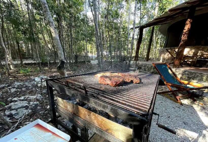 酒店 Aldea Mayaha Cabanas Con Cenotes