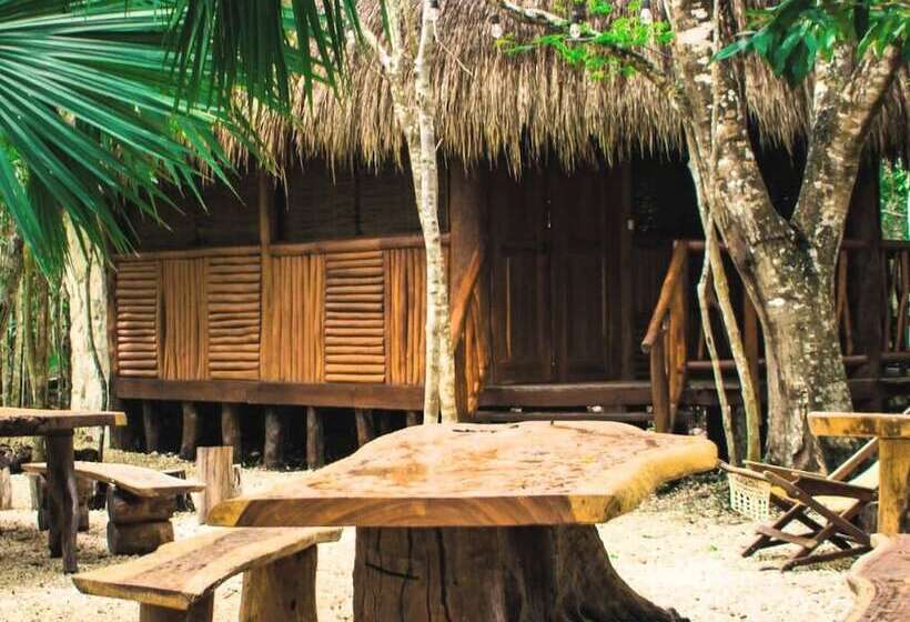 هتل Aldea Mayaha Cabanas Con Cenotes
