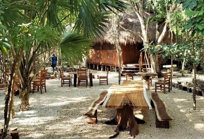 酒店 Aldea Mayaha Cabanas Con Cenotes