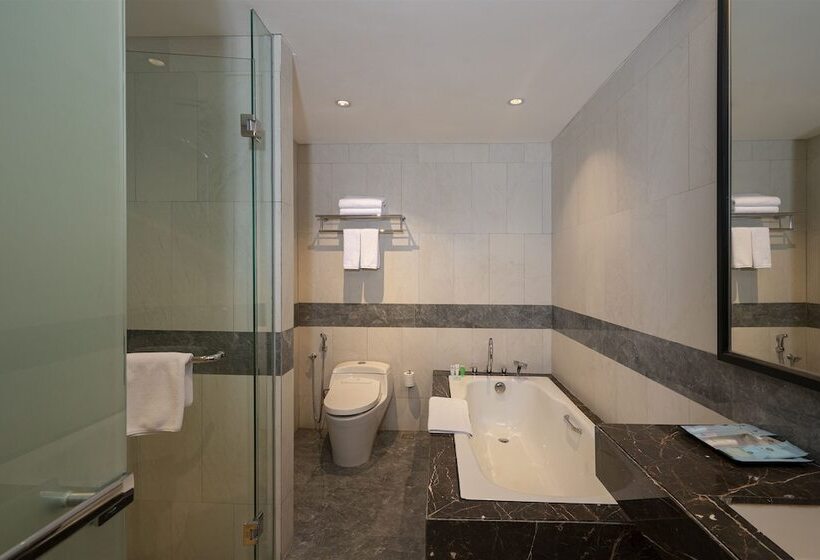 هتل Anara Airport