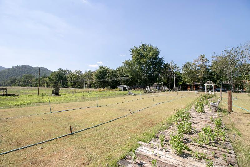 호텔 Baan Rak Mai By Oyo  Rooms