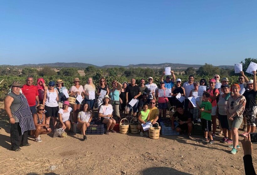 Отель Celebi Garden