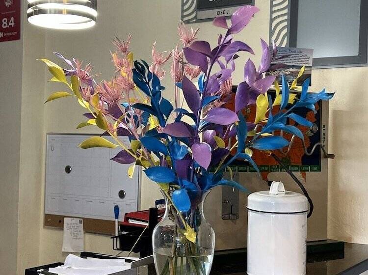 Suburban Studios By Choice Hotels Award Winning New 2024 Walk To Eateries & Grocery Ultra Sp