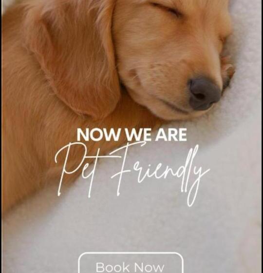 Suburban Studios By Choice Hotels Award Winning New 2024 Walk To Eateries & Grocery Ultra Sp