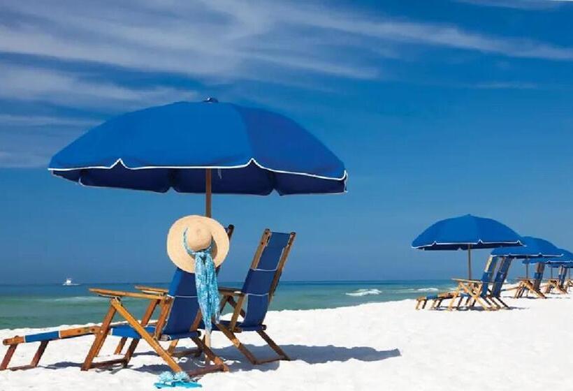 Suburban Studios By Choice Hotels Award Winning New 2024 Walk To Eateries & Grocery Ultra Sp