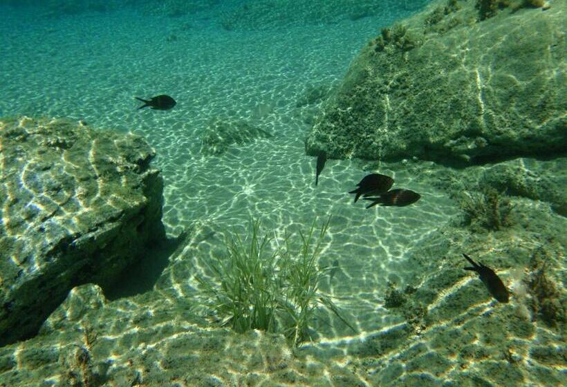 فندق Filoxenia By Grispos Villas