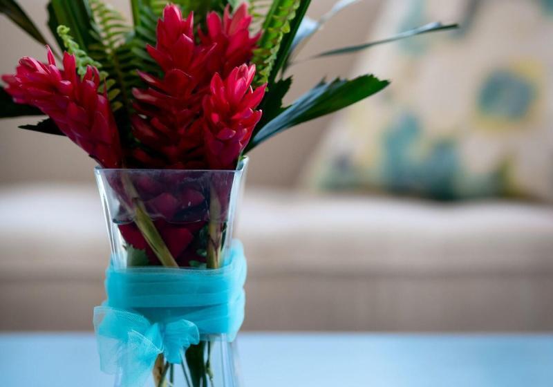 فندق Golden Pineapple Villas