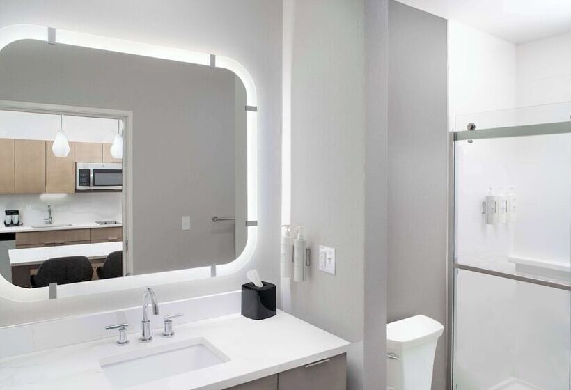 ホテル Homewood Suites By Hilton Ann Arbor