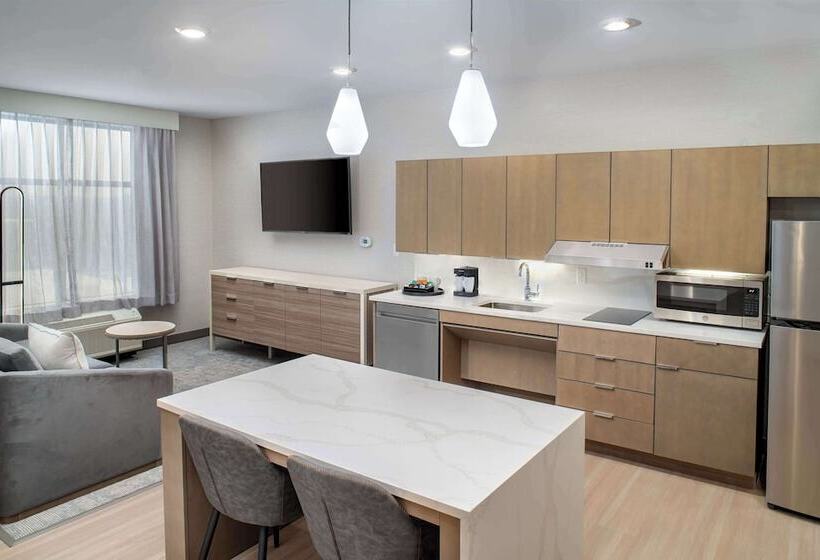 ホテル Homewood Suites By Hilton Ann Arbor