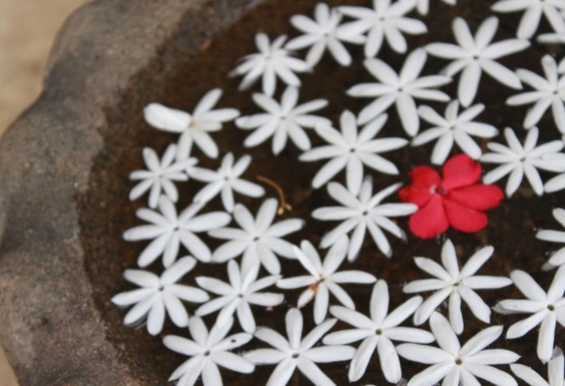 فندق Kandy Hills Resort