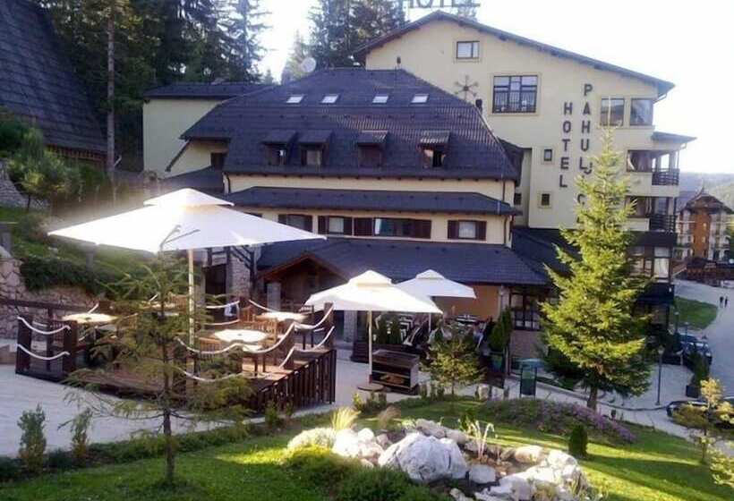 هتل Pahuljica
