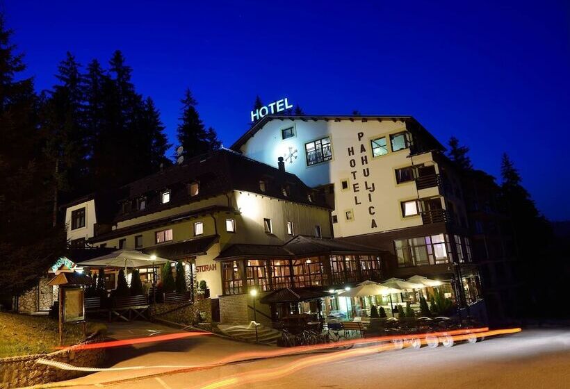 هتل Pahuljica