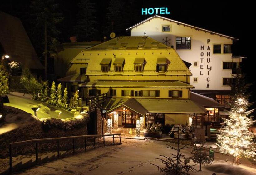 هتل Pahuljica