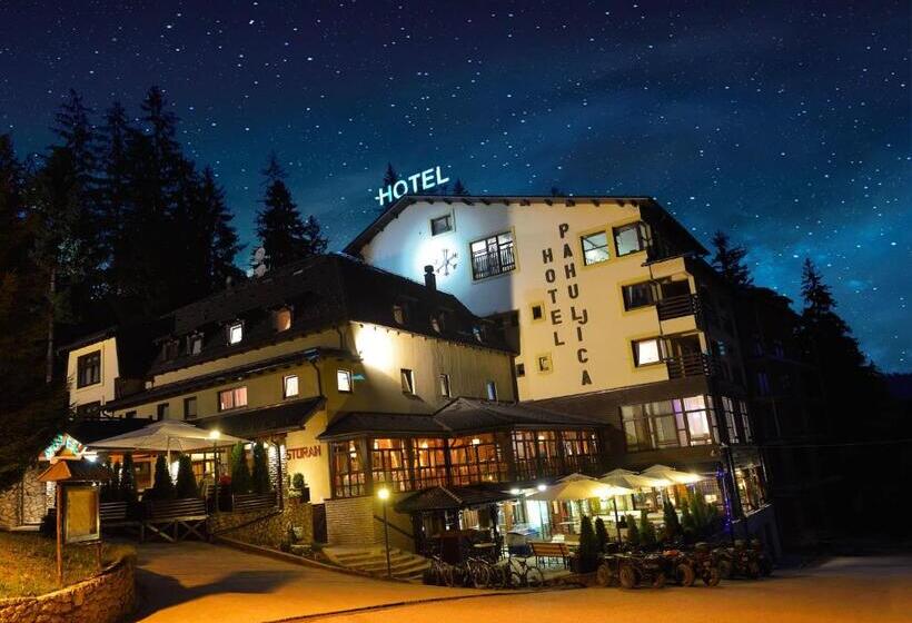 هتل Pahuljica