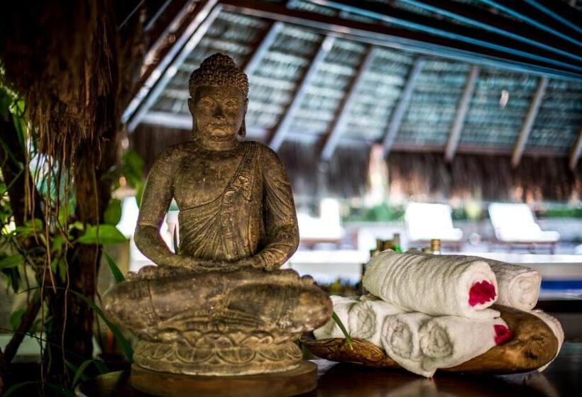 Отель Sombra E Agua Fresca Floresta