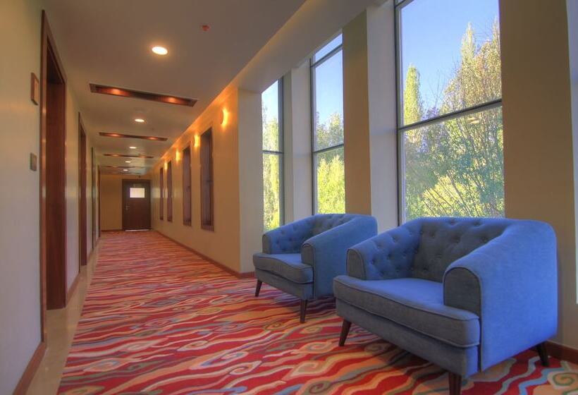 酒店 Leh Crown Inn