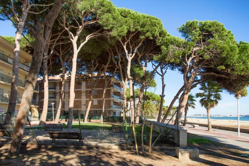 Pins I Mar A 3 7   Only Families