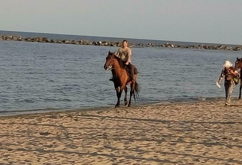 Appartamento Bellavista