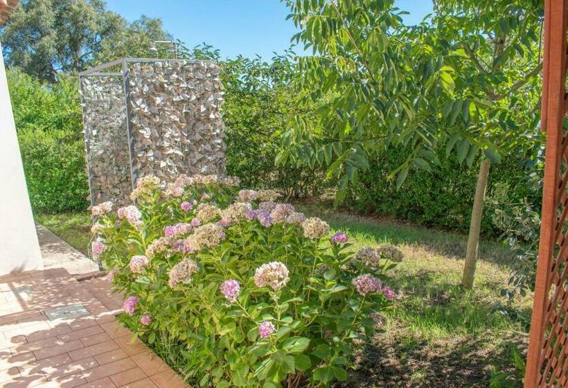 Casa Vacanze Tortoli